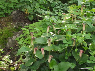 Grotta_delle_Fate - 23-11-2012 10-14-14.JPG